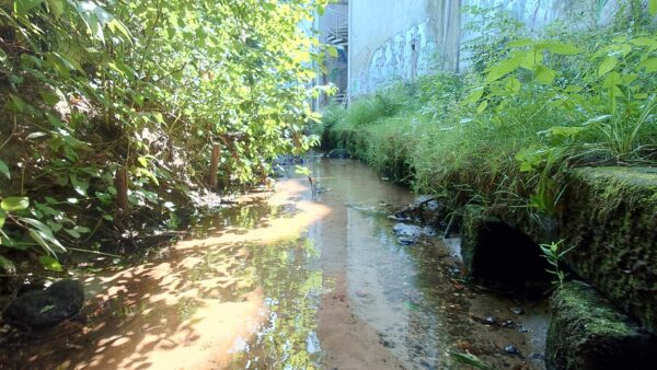 Die Stadt hat ein Wasser-Entnahme-Verbot verhängt. Foto: Anton Launer