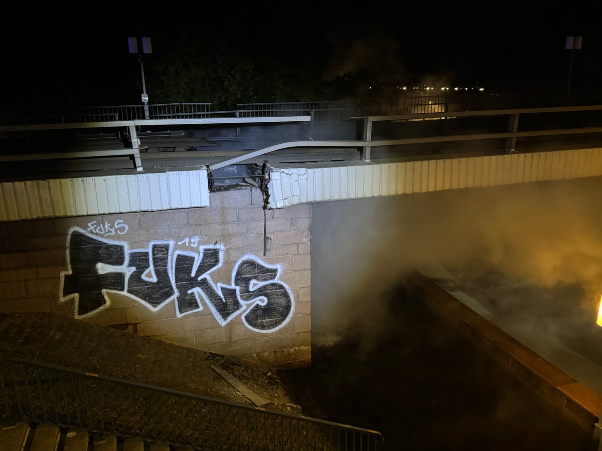 Teileinsturz der Carolabrücke - Foto: Feuerwehr Dresden