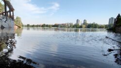 Unterhalb vom Rosengarten hat die Elbe die den Rad- und Fußweg komplett überschwemmt. Foto: Anton Launer