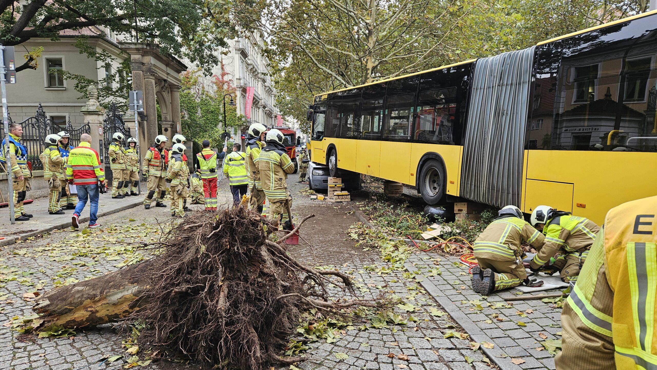 Eine Platane ist umgestürzt. Die Feuerwehr muss den Bus erst einmal frei räumen. Foto: Anton Launer 