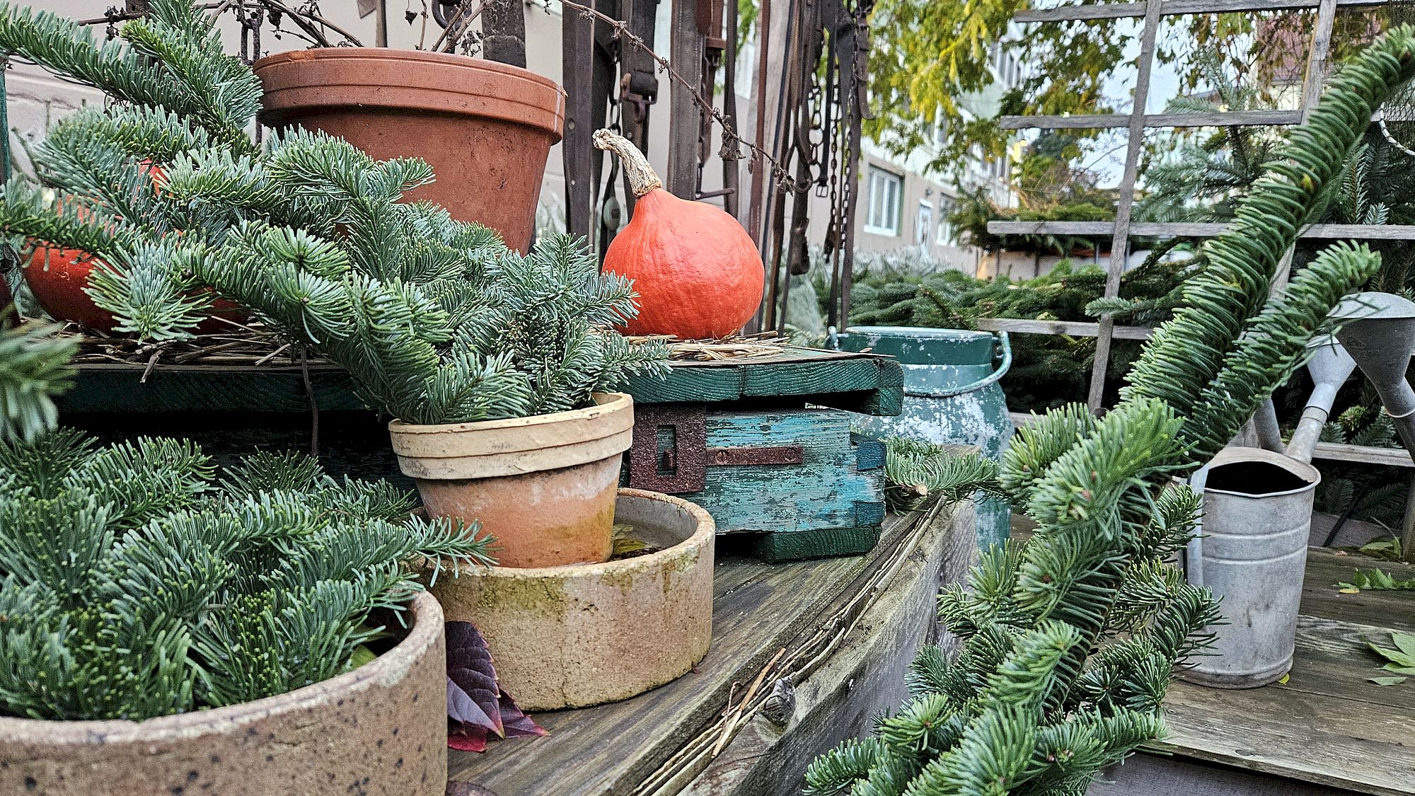 Neben Tännchen gibt es auch Kränze und jede Menge Weihnachtsdeko - Foto: Anton Launer