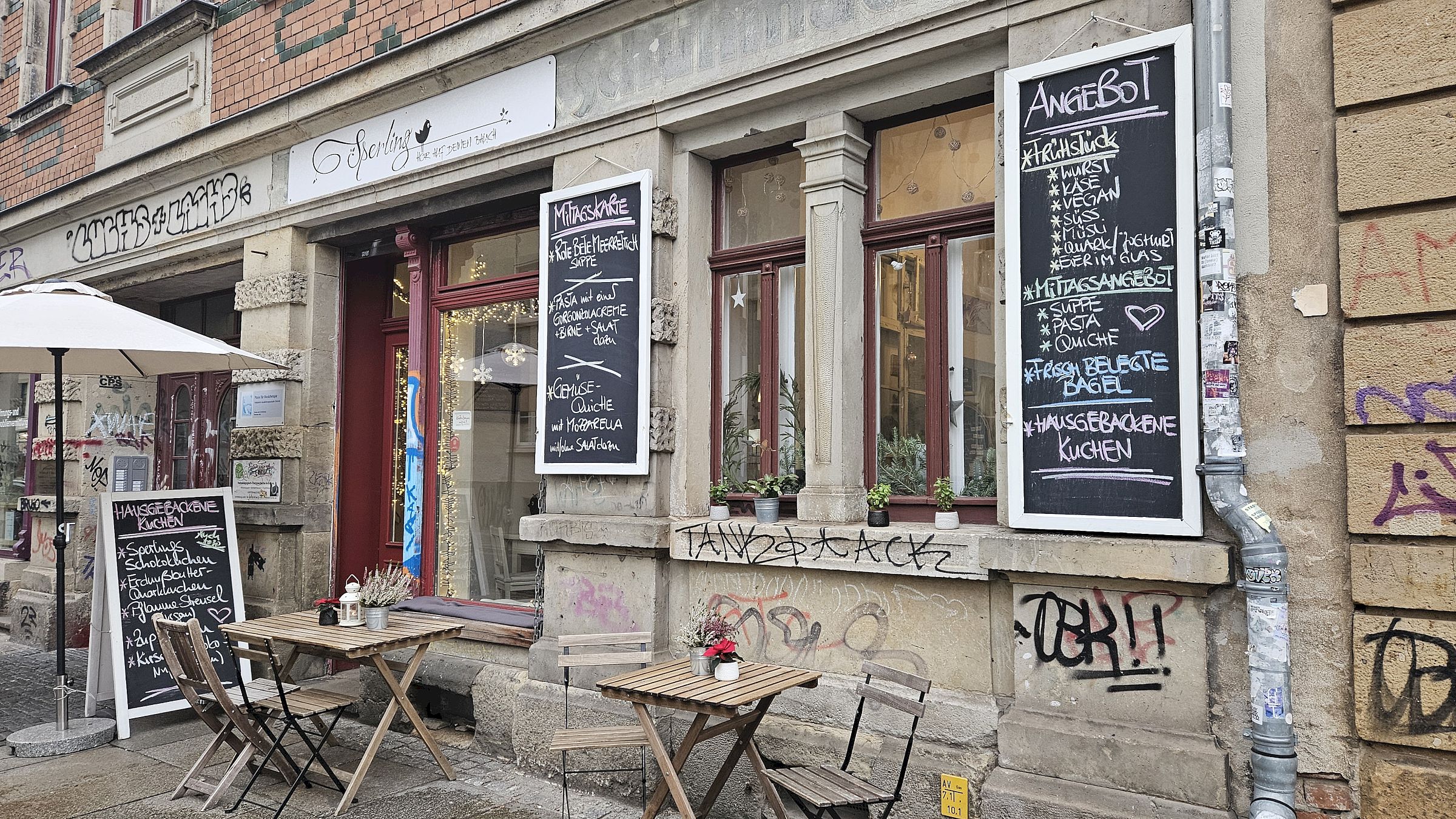 Nur noch wenige Tage: Sperling auf der Alaunstraße - Foto: Anton Launer