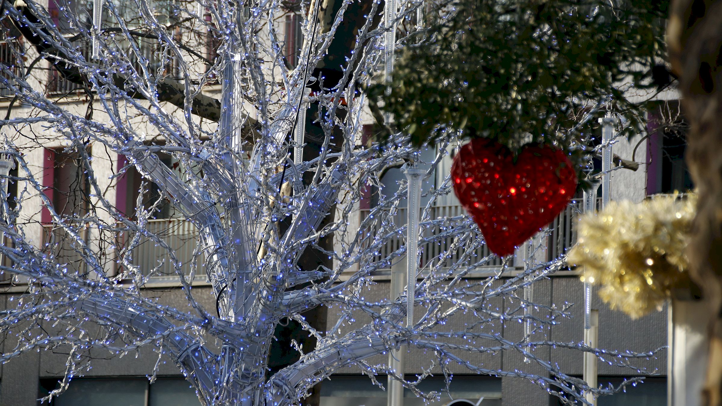 Nicht mehr vom Augustusmarkt wegzudenken, der Blaue Baum. Foto: Anton Launer