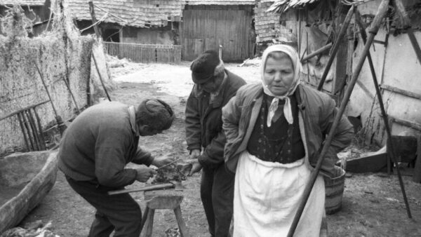 Foto aus der Ausstellung "Radu Darvas – Wiedergutmachung"