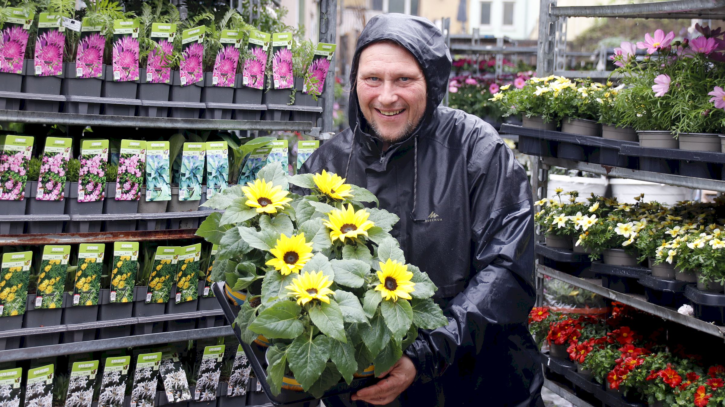 Was hilft gegen Regen? Sonnenblumen. Gibt's im Alten Heizhaus beim Trödelbarden Sven Hellmich. Foto: Anton Launer