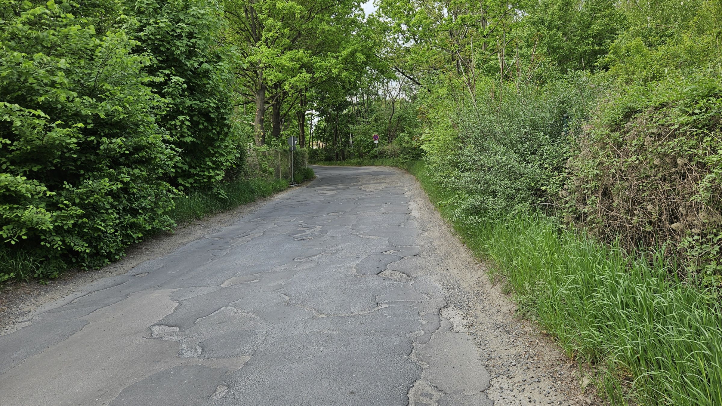 Aus dieser Buckelpiste soll nun eine richtige Straße werden. Foto: Anton Launer