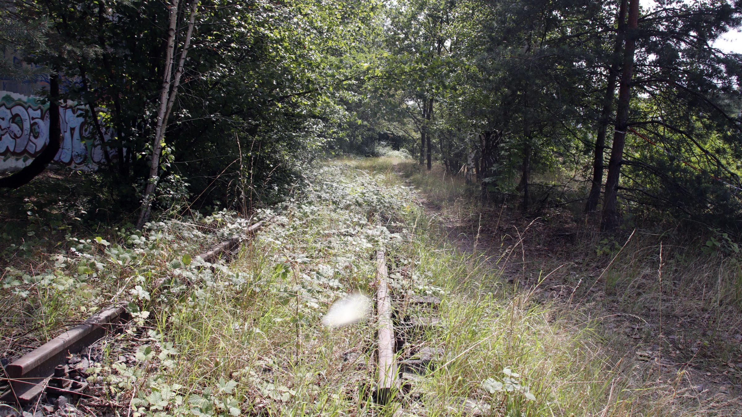 Übers Abstellgleis zum legal plain. Foto: Anton Launer