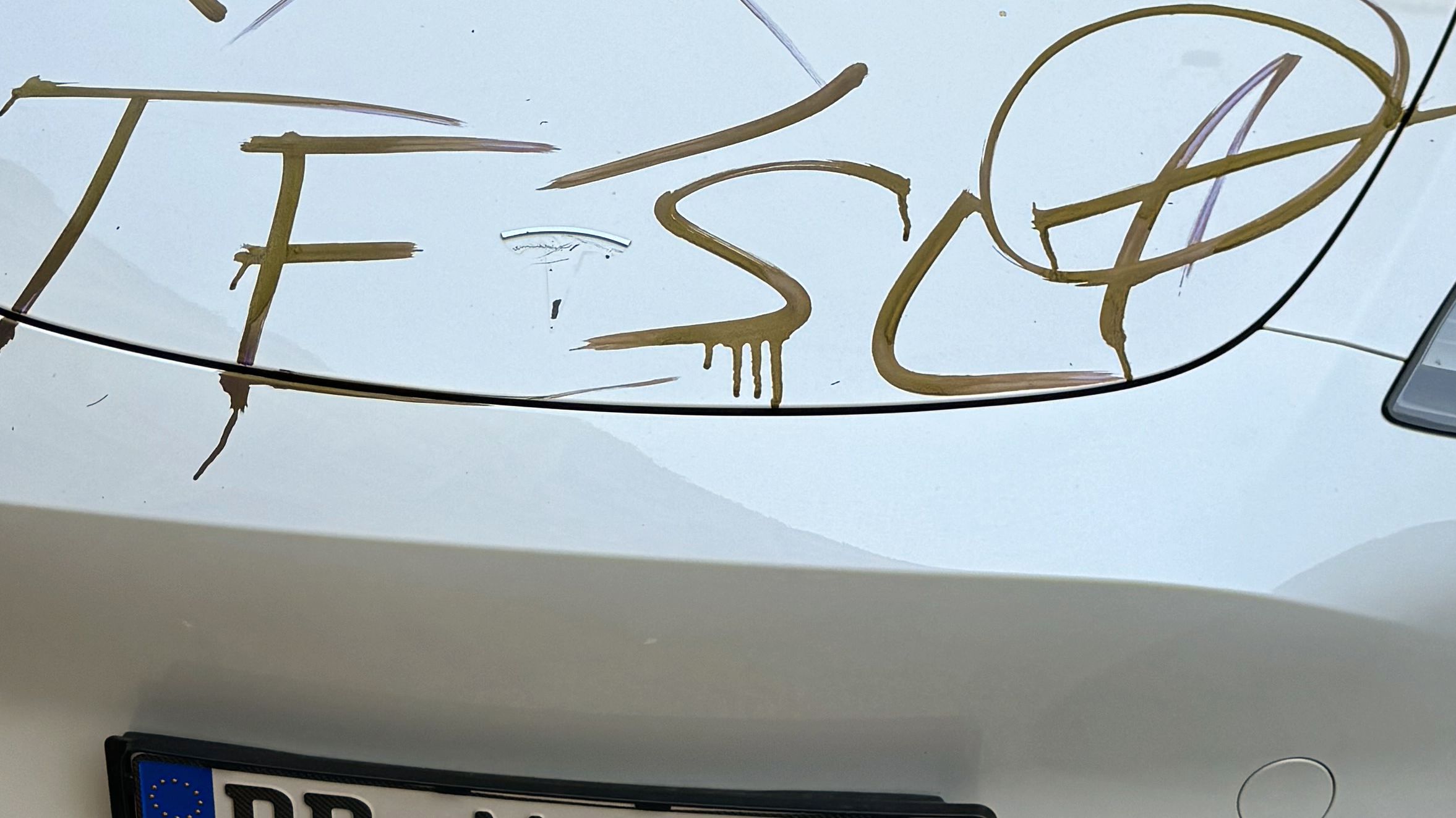 Beschmierter und beschädigter Tesla - Foto: Privat