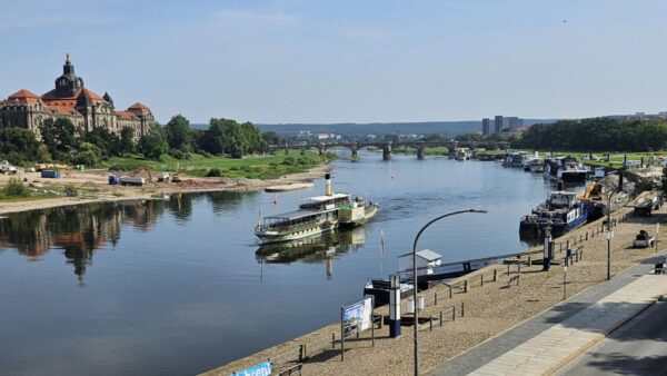 Der Älteste war der Erste. Raddampfer Stadt Wehlen fuhr heute als Erster durch die Stelle, an der einst die Carolabrücke stand. Foto: Privat