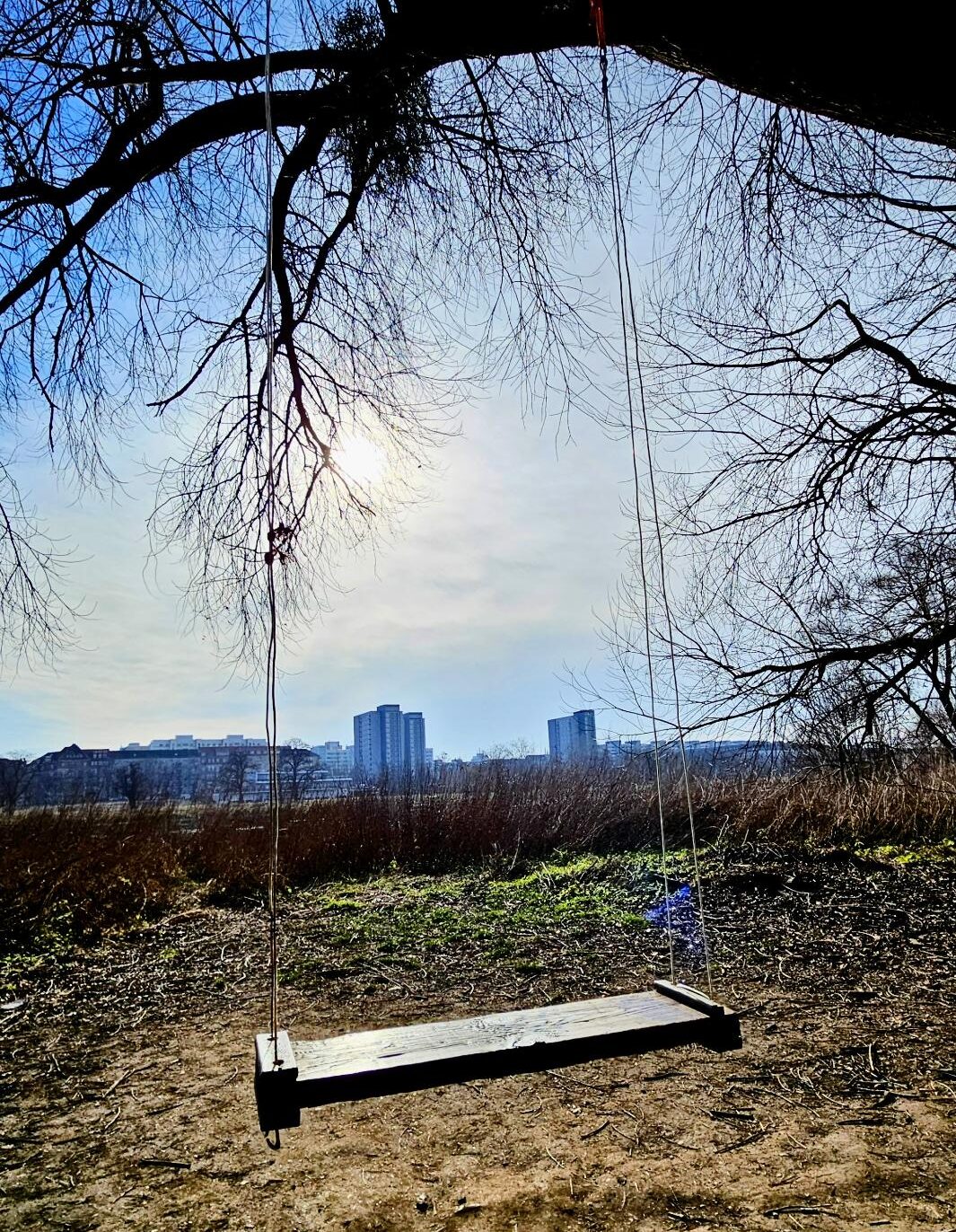 Schaukel an der Prießnitzmündung. Foto: Archiv Anton Launer/ 11. Februar 2025