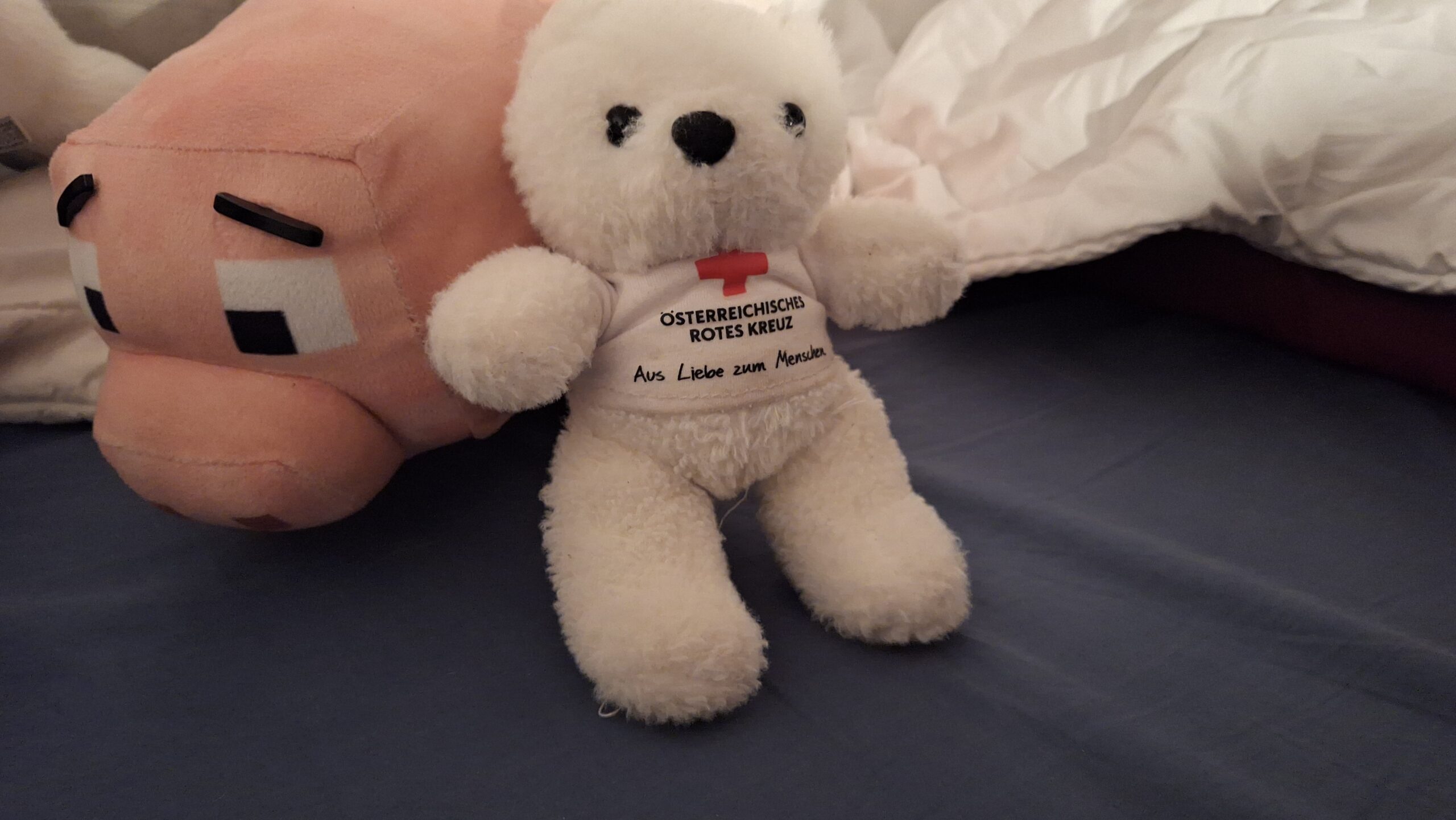 Gefundener Kuschelkumpel