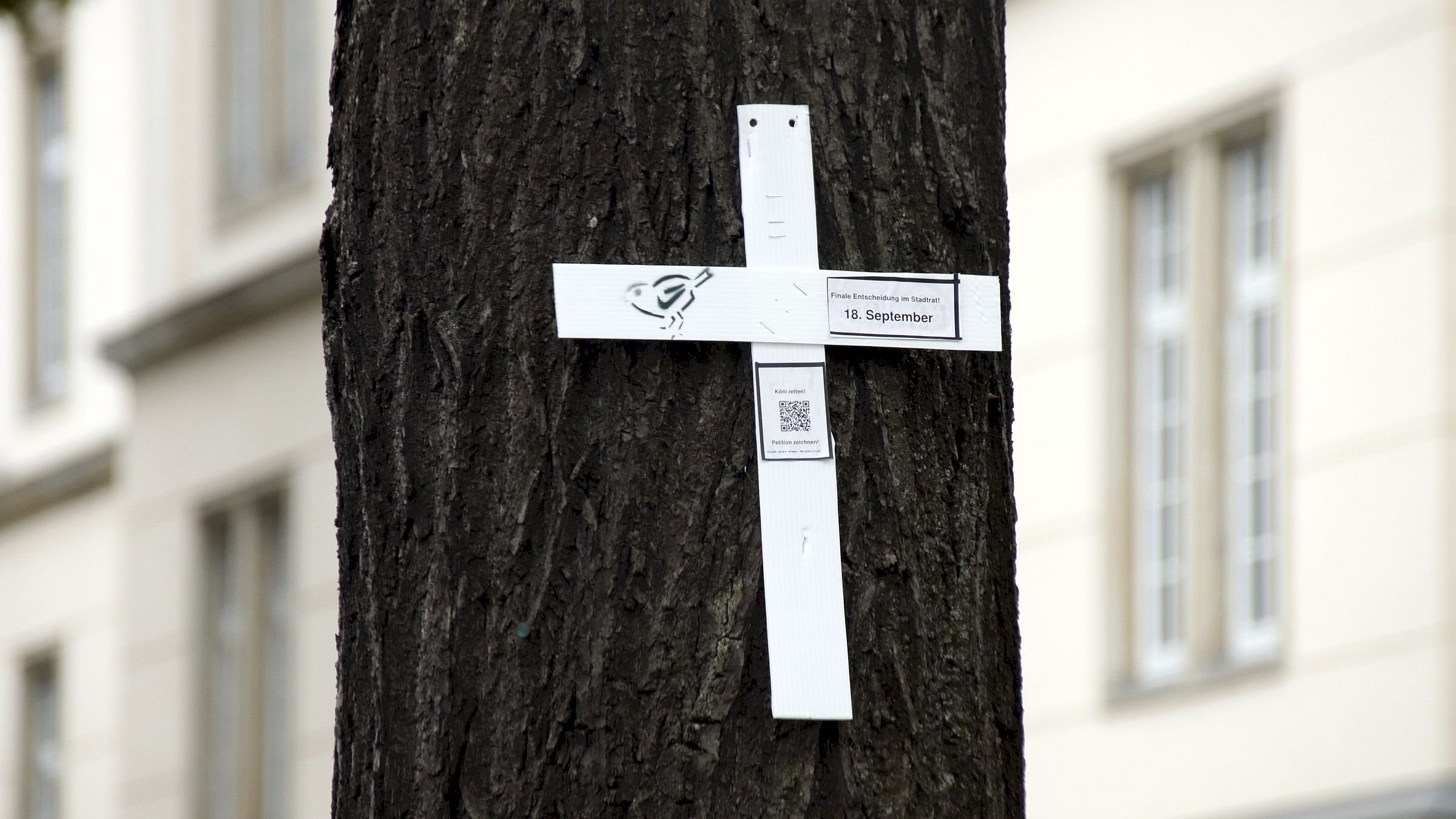 Weiße Kreuze an den Straßenbäumen - Foto: Anton Launer