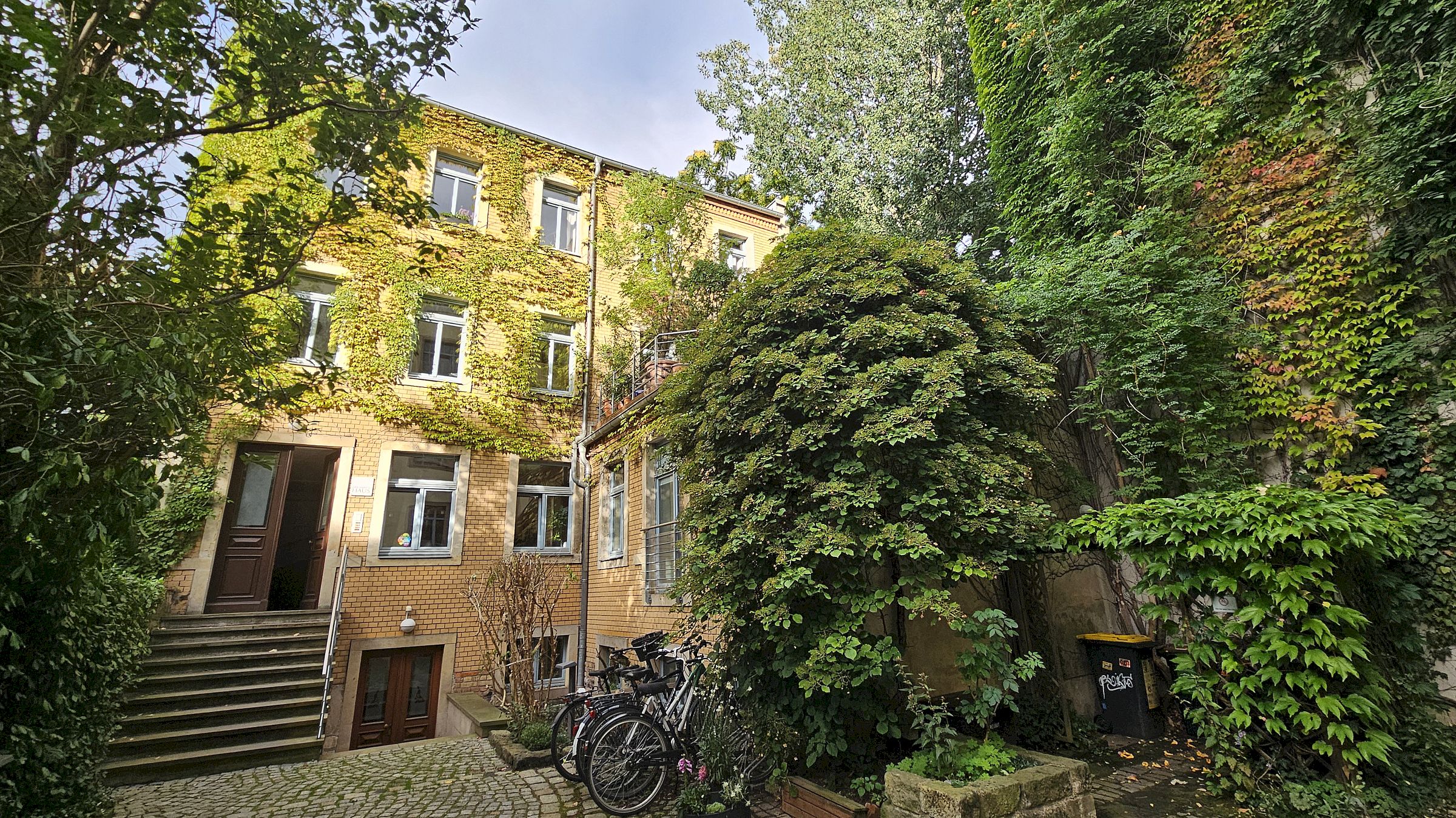 Im grünen Hinterhof der Louisenstraße befindet sich das Hebammenhaus Dresden - Foto: Anton Launer