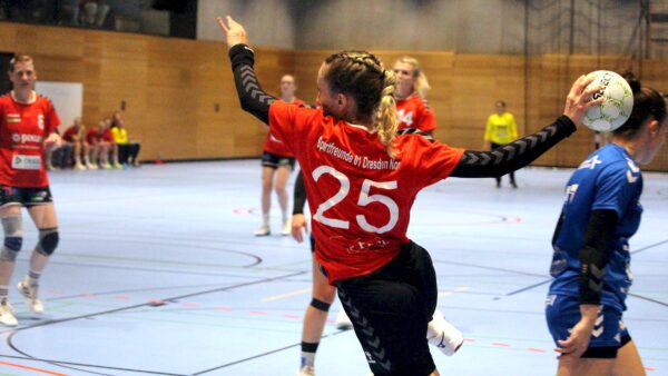 Mit einem 28:25-Sieg melden sich die Sporties wieder zurück. Foto: Sportfreunde 01