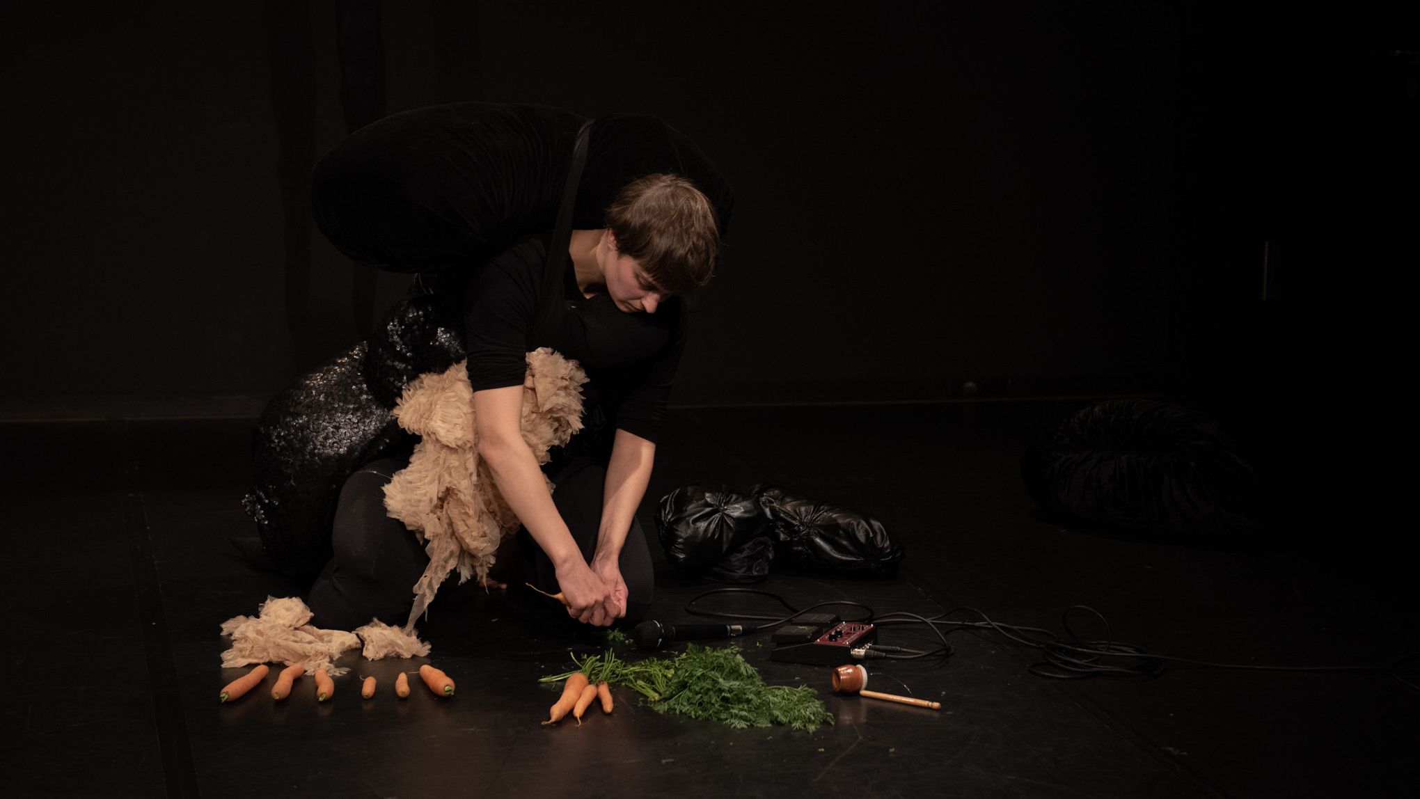 Radical Softness - am 24. und 25. Oktober im Projekttheater - Foto: Thomas Puschmann