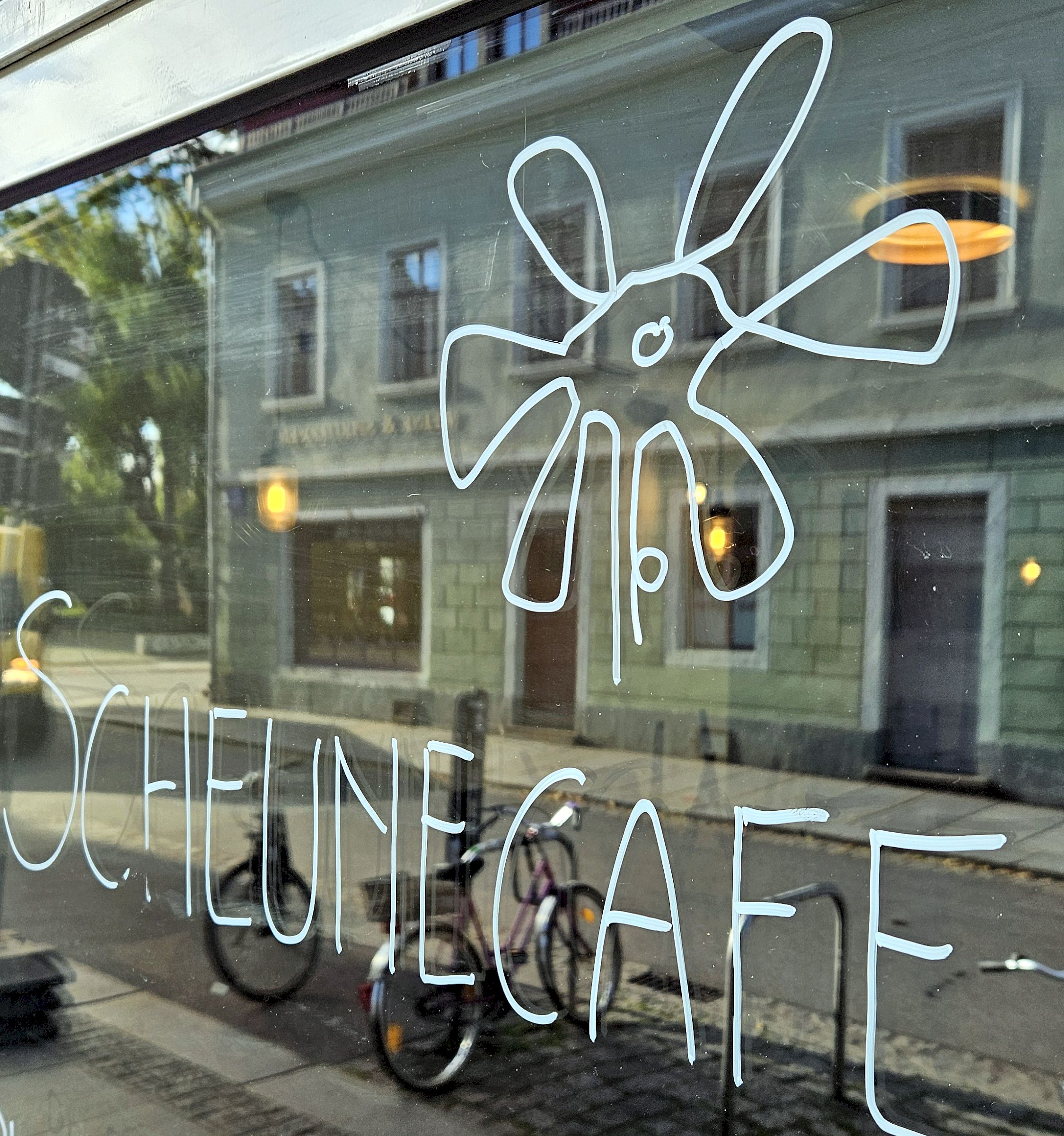 Scheune-Café wieder auf der Alaunstraße - Foto: Anton Launer