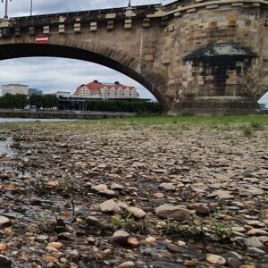 Zusammenstoß mit Wildvogel Augustusbrücke an der Elbe - Foto: Archiv Anton Launer