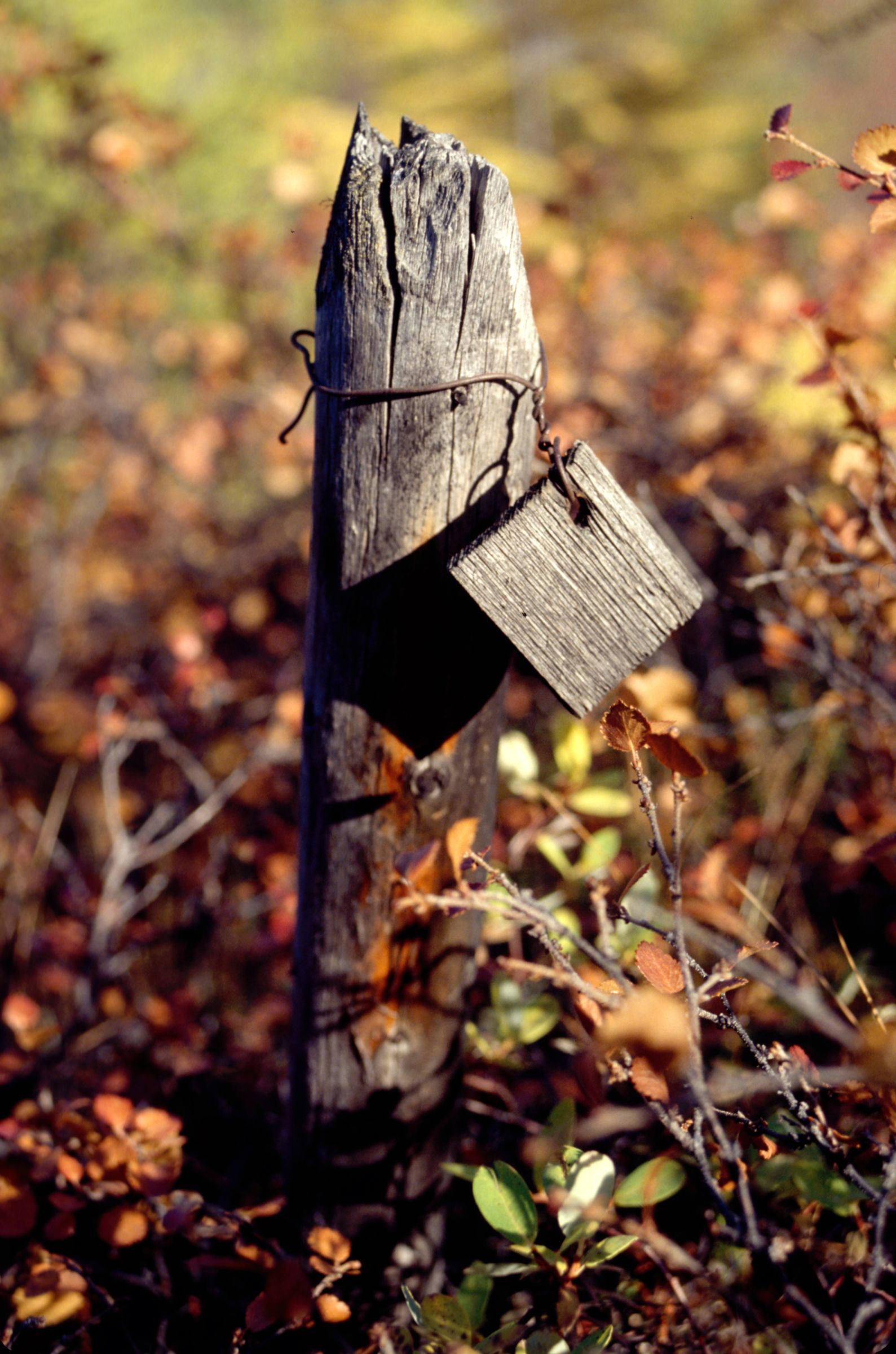 Alles was blieb... 1994 - Foto: Wolodymyr Ogloblin