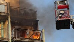 Großeinsatz der Feuerwehr an der Stauffenbergallee Die Feuerwehr setzte zur Brandbekämpfung auch eine Drehleiter ein. Foto: Feuerwehr Dresden Auch eine Drehleiter wurde in Stellung gebracht.