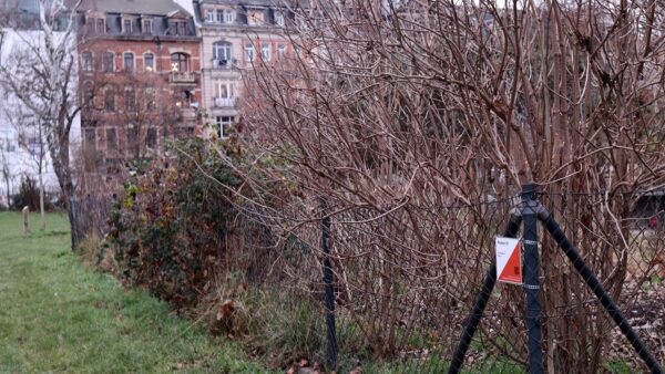 Einer von sieben Postenstandorten auf dem Alaunplatz. Foto: Daniel Härtelt