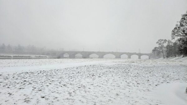Dresden am Freitagmorgen - Foto: Anton Launer