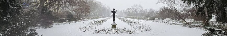 Rosengarten im Januar 2026