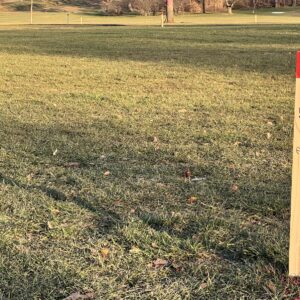XXL-Streichhölzer im Alaunpark XXL-Streichholz als Baummarkierung - Foto: Enna Miau