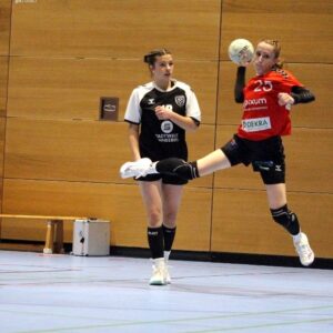 Heimsieg-Spektakel: Sportis knacke 40-Tore-Marke Starker Angriff, starke Abwehr - Foto: Sportfreunde01