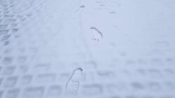 Spuren im Schnee - Symbolbild - Foto: Anton Launer