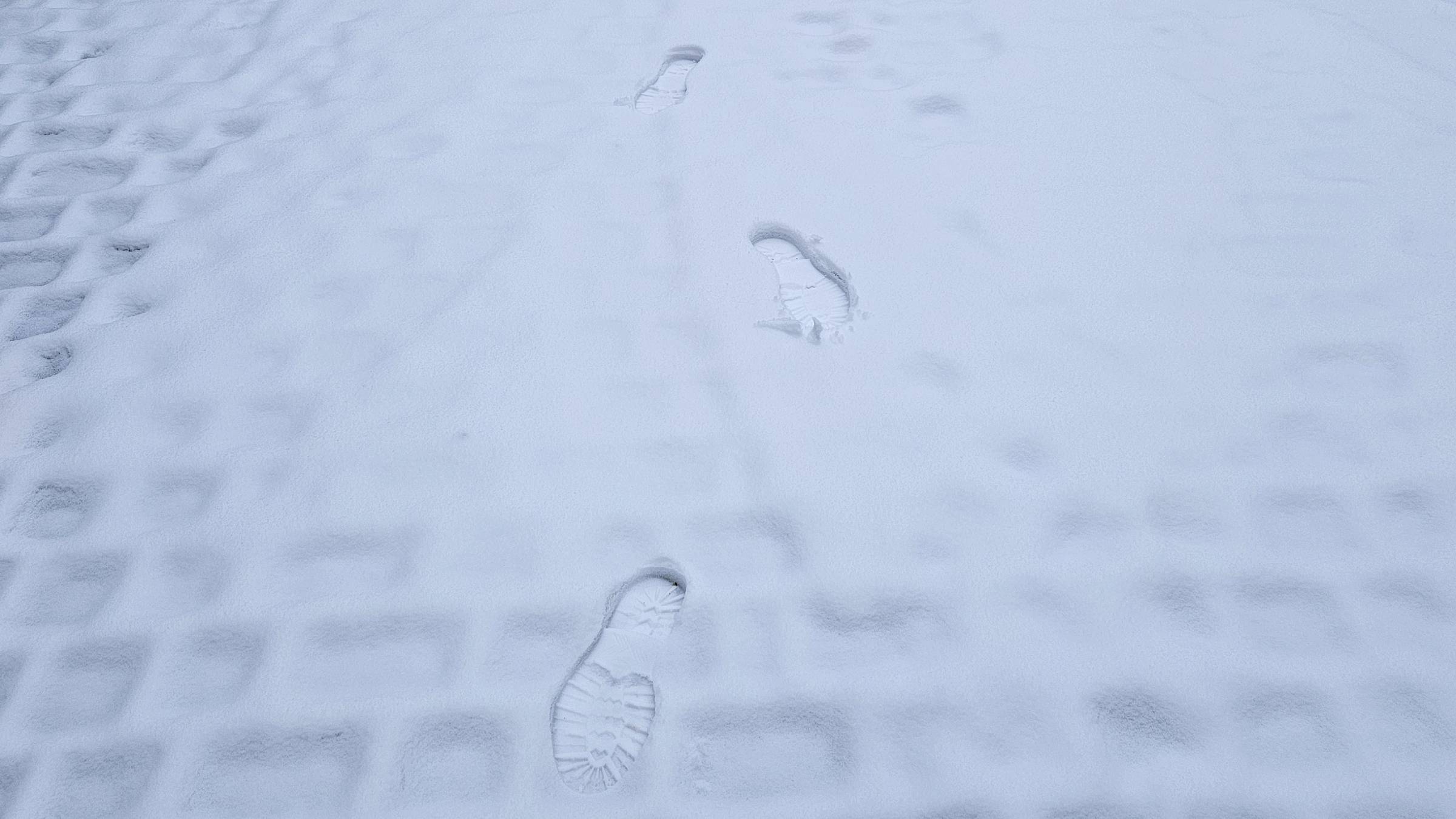 Spuren im Schnee - Symbolbild - Foto: Anton Launer