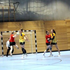 Handball: Sportfreunde gegen Schiebock In einem umkämpften Spiel konnten sich die Sportis am Ende durchsetzen. Foto: Sportfreunde 01