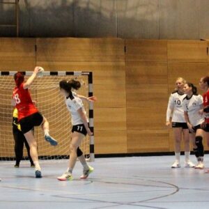 Die Handballerinnen der Sportfreunde musste sich mit einer knappen Niederlage gegen Klotzsche geschlagen geben. Foto: Sportfreunde01