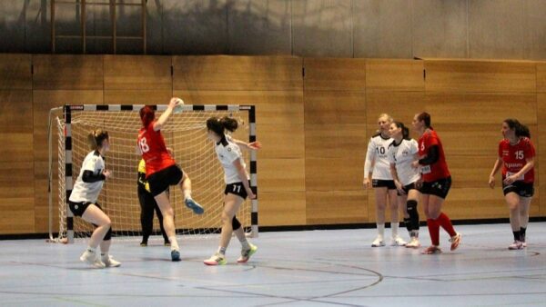 Die Handballerinnen der Sportfreunde musste sich mit einer knappen Niederlage gegen Klotzsche geschlagen geben. Foto: Sportfreunde01