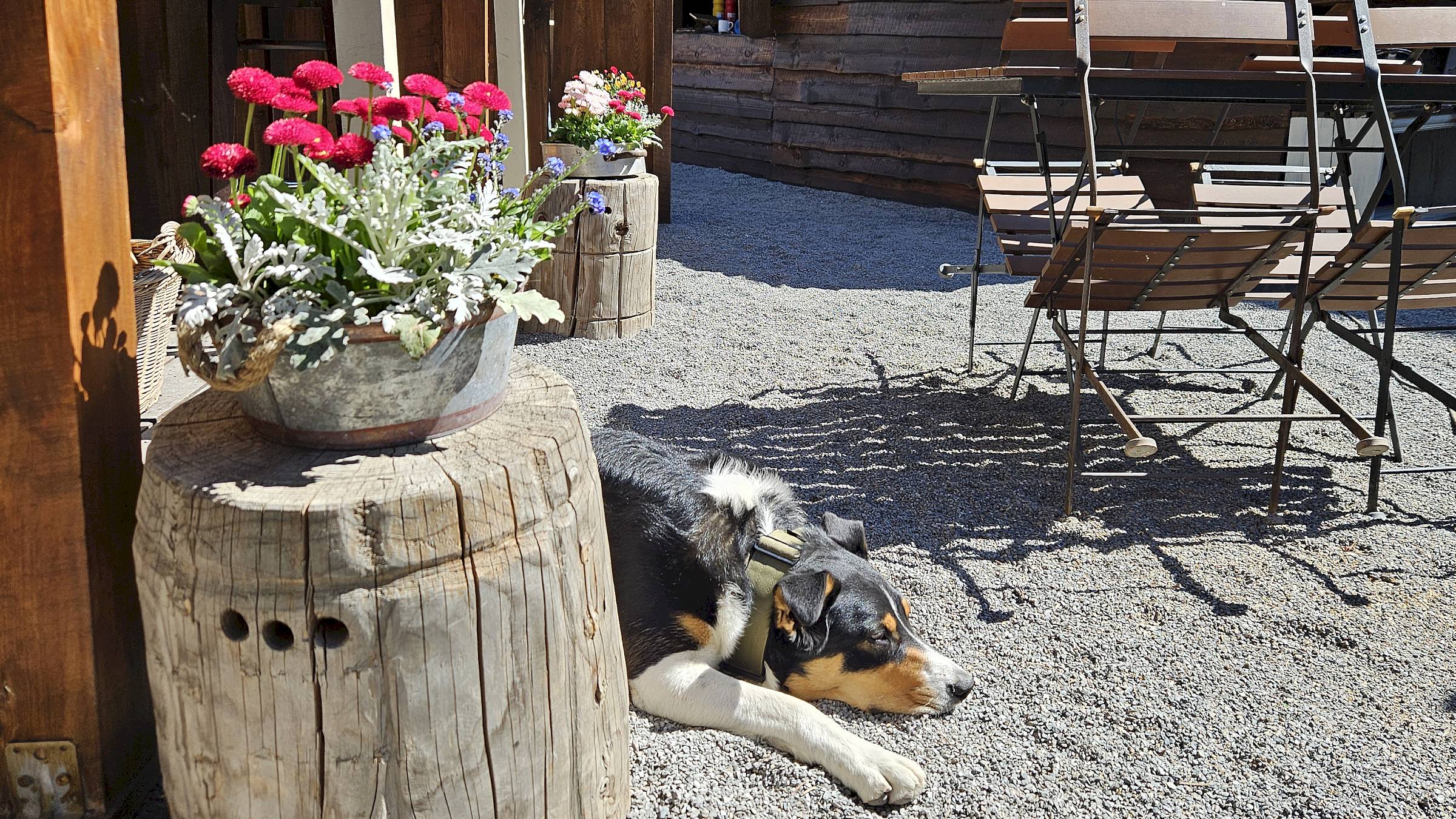 Verschnaufpause im Biergarten - Foto: Anton Launer