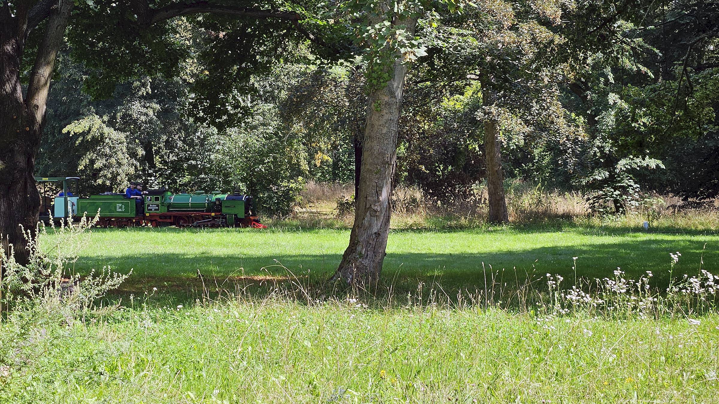 Wiese im Großen Garten - Foto: Anton Launer