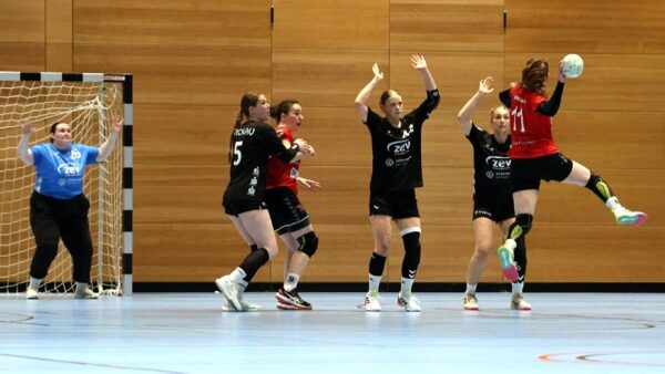 Vor allem dem Angriff der Dresdnerinnen waren die Handballerinnen aus Zwickau nicht gewachsen. Foto: Sportfreunde01 Dresden Nord
