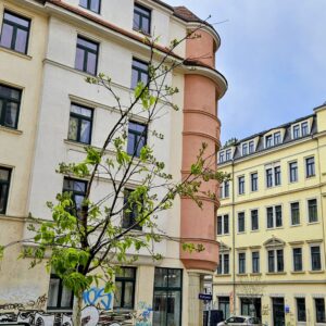 Die Traubenkirsche hat ausgedient, jetzt werden Gingkos gepflanzt. Foto: Anton Launer
