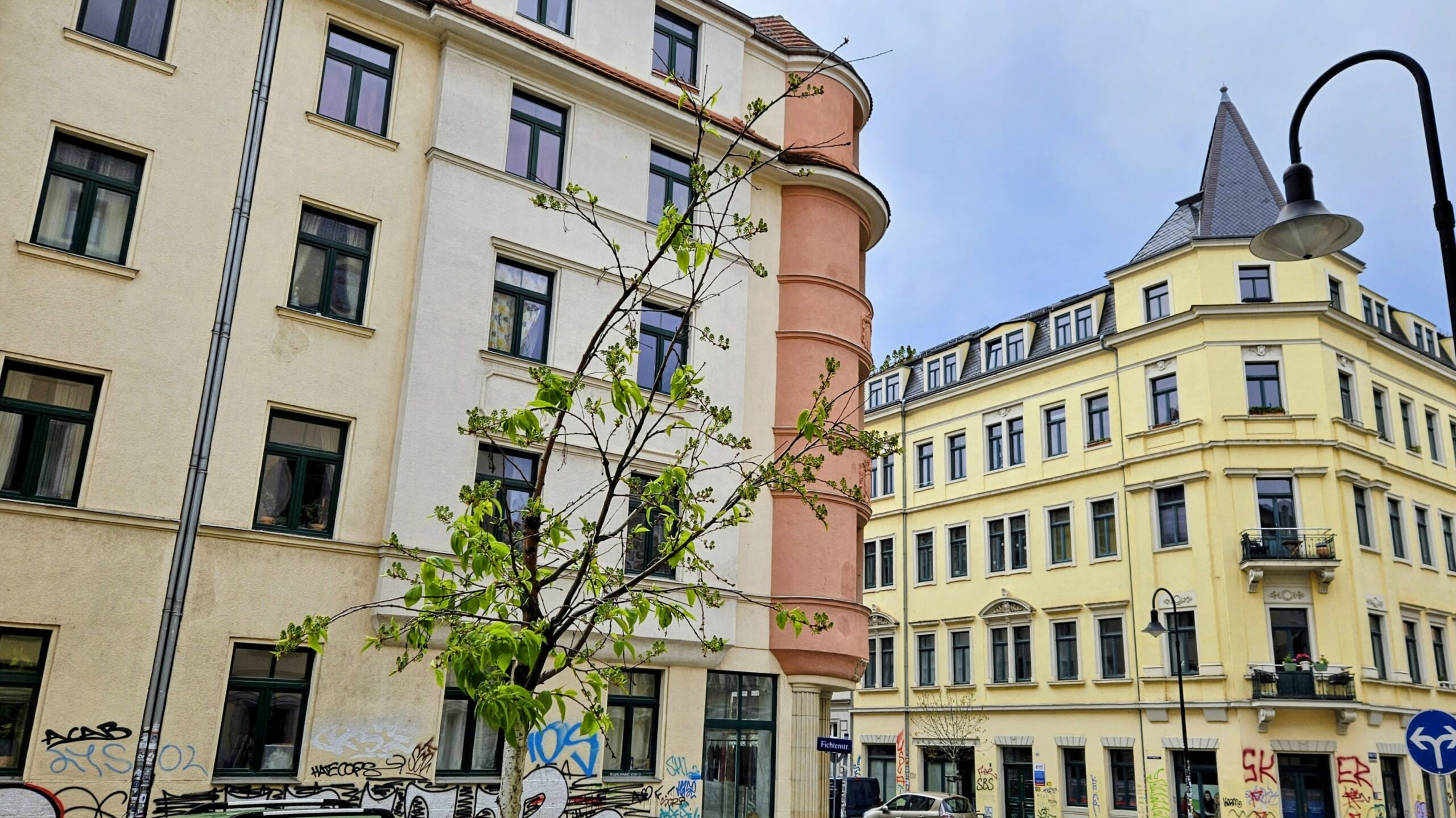 Die Traubenkirsche hat ausgedient,  jetzt werden Gingkos gepflanzt. Foto: Anton Launer 