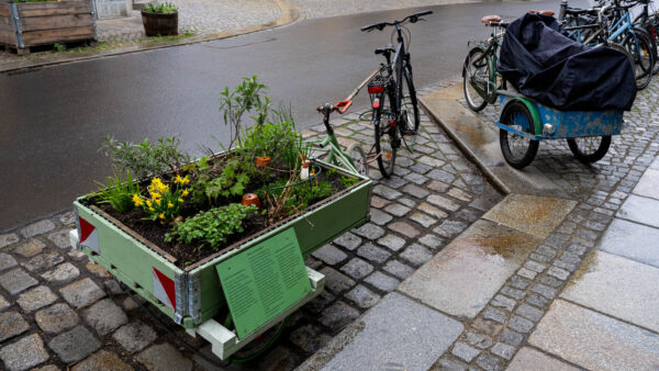 Infotafeln klären Neugierige über den Zweck der Fahrradanhänger auf. Foto: Sebastian Diehl