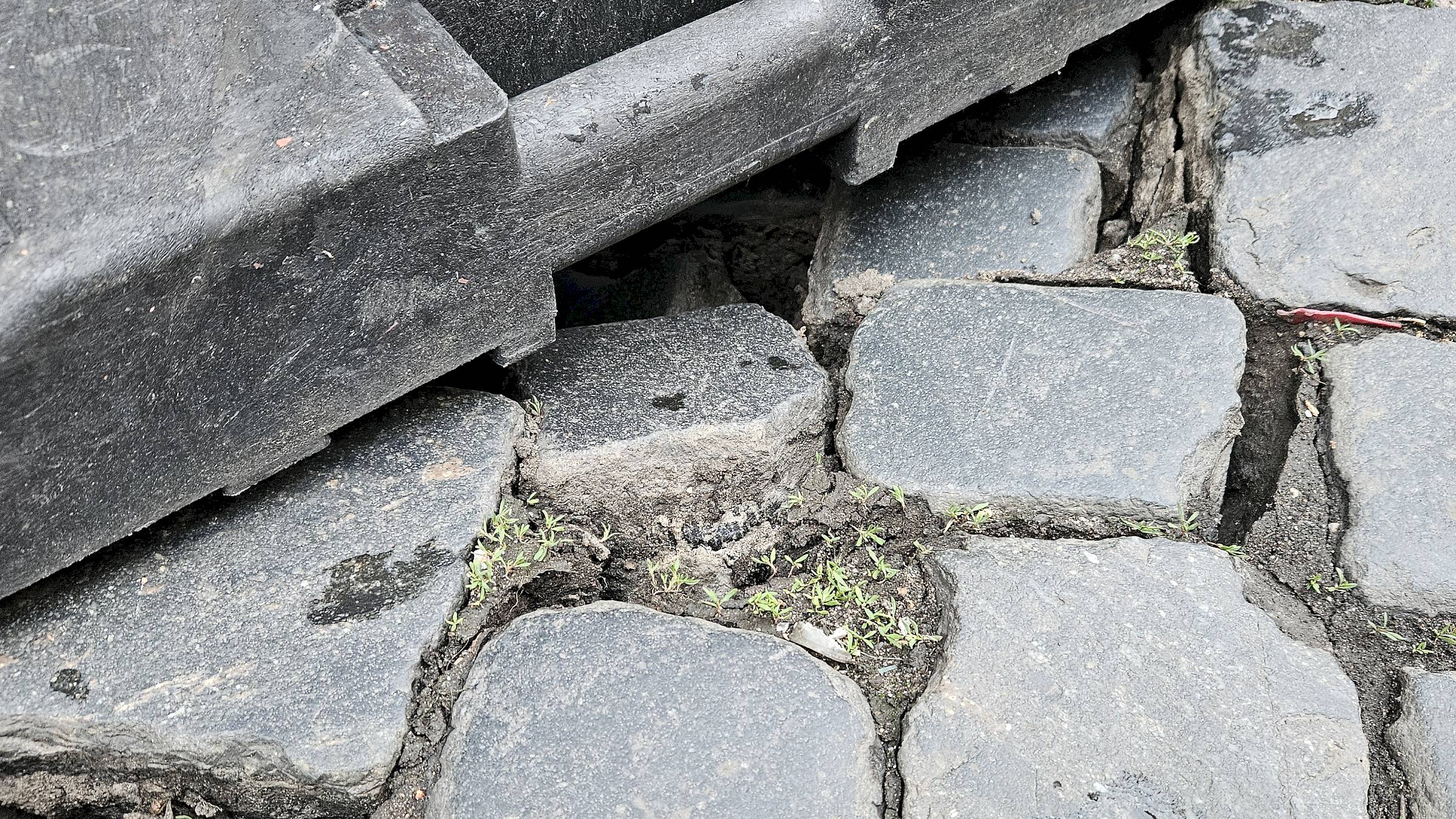Ein Blick ins Pflasterloch - Foto: Anton Launer