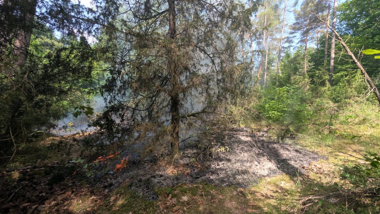 Waldbrand in der Dresdner Heide - Foto: Feuerwehr Dresden