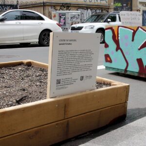 Pflanzkübel und Sitzgelegenheiten auf der Louisenstraße - Foto: Anton Launer