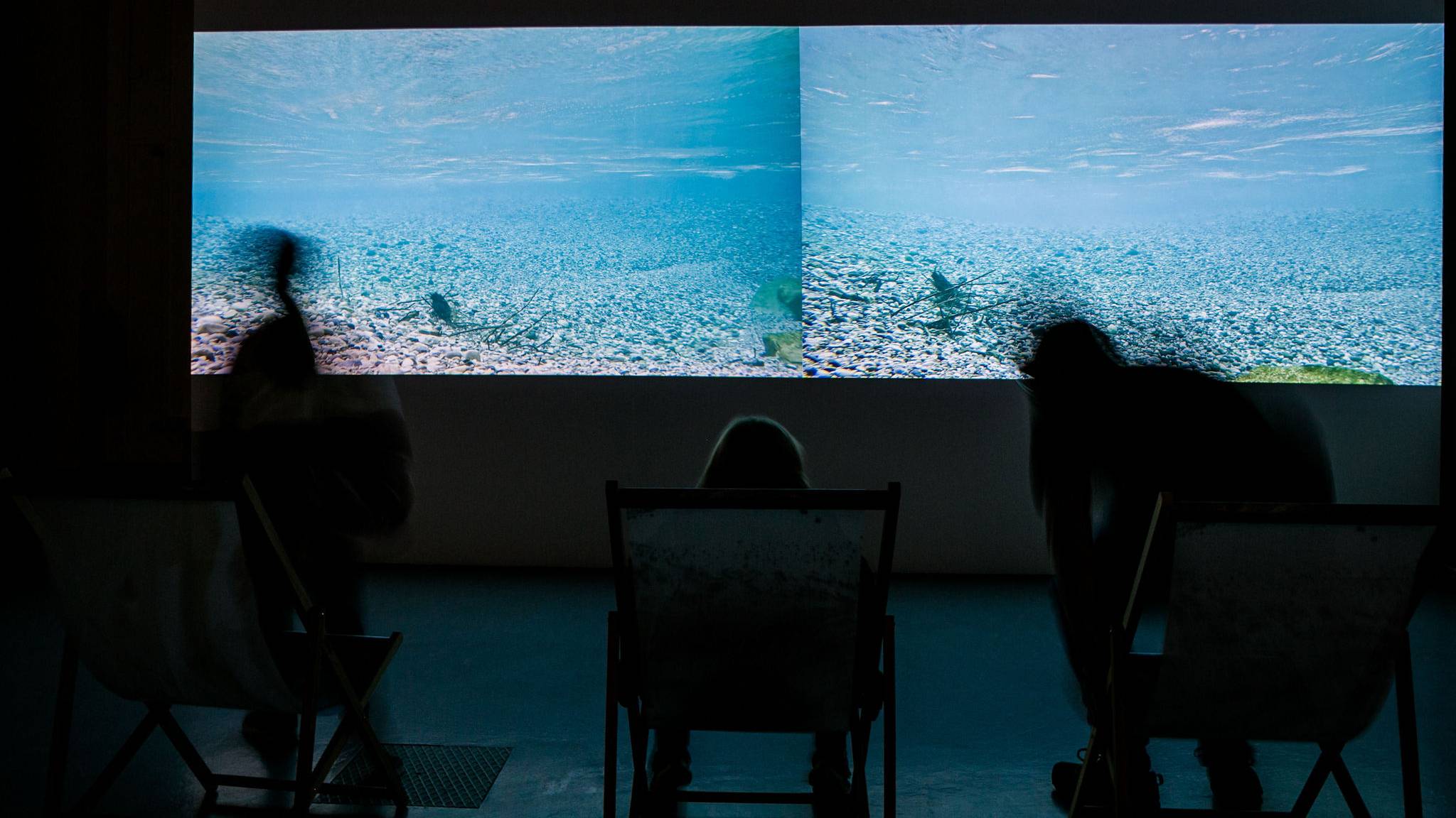 In der Ausstellung kann man sich auf großen Monitoren von der Strömung des Tagliamento begeistern lassen. Das Video hat Manuel Bachinger angefertigt. Foto: Timm Ziegenthaler